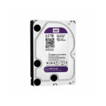 Western Digital P300 Purple 2To