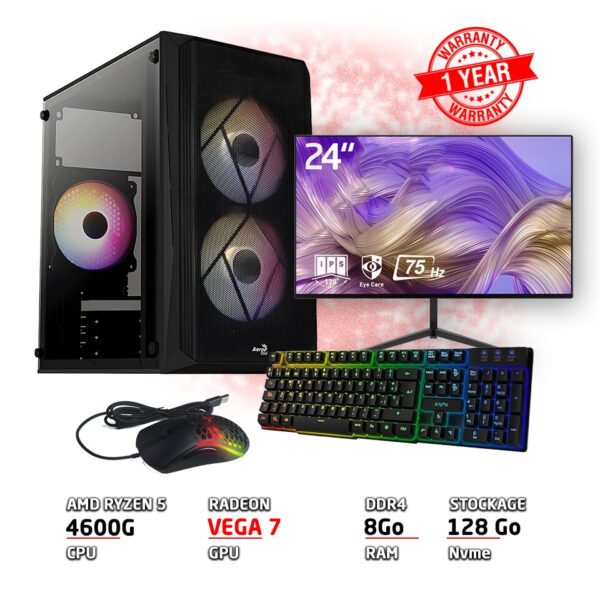 Setup gamer WINBIRD RYZEN 5 4600G 8GB RX VEGA 7